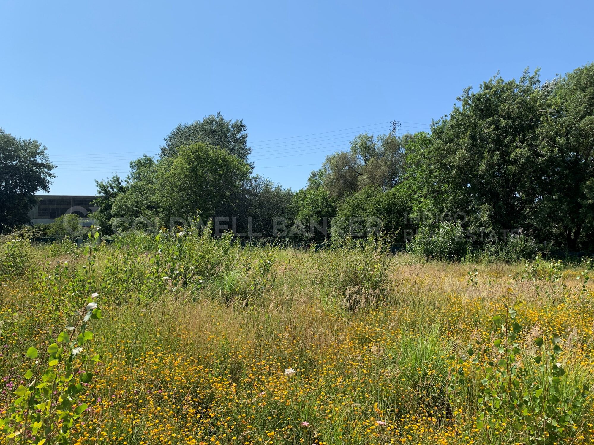 Industrial Plot Sale Vigo