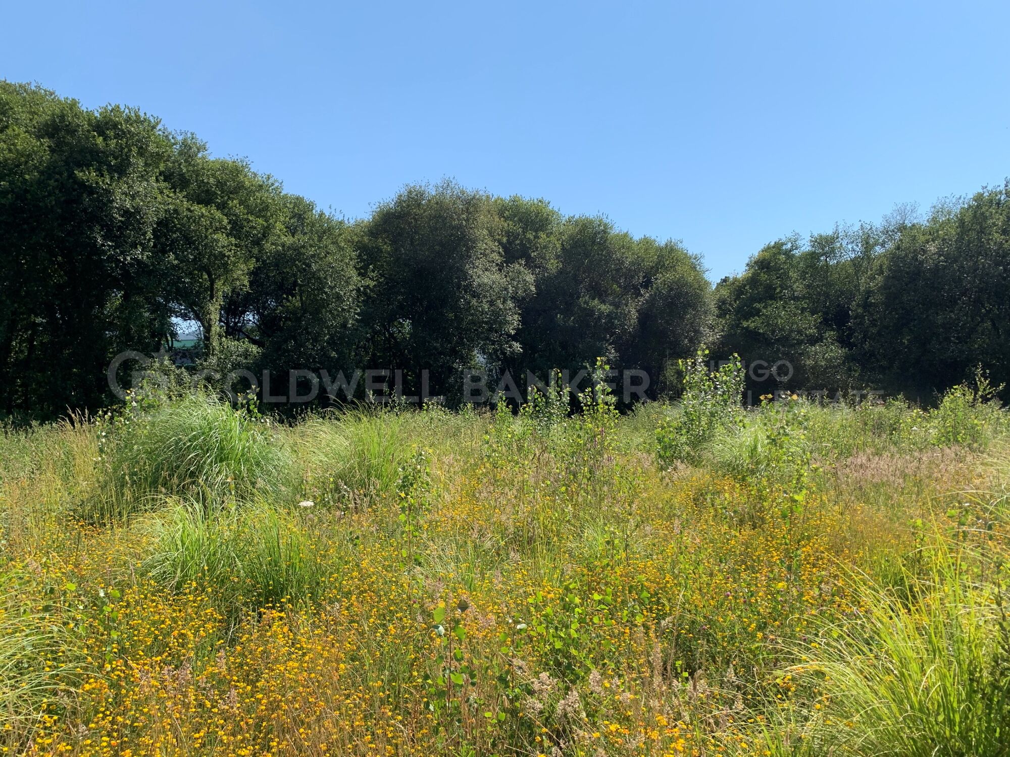 Industrial Plot Sale Vigo