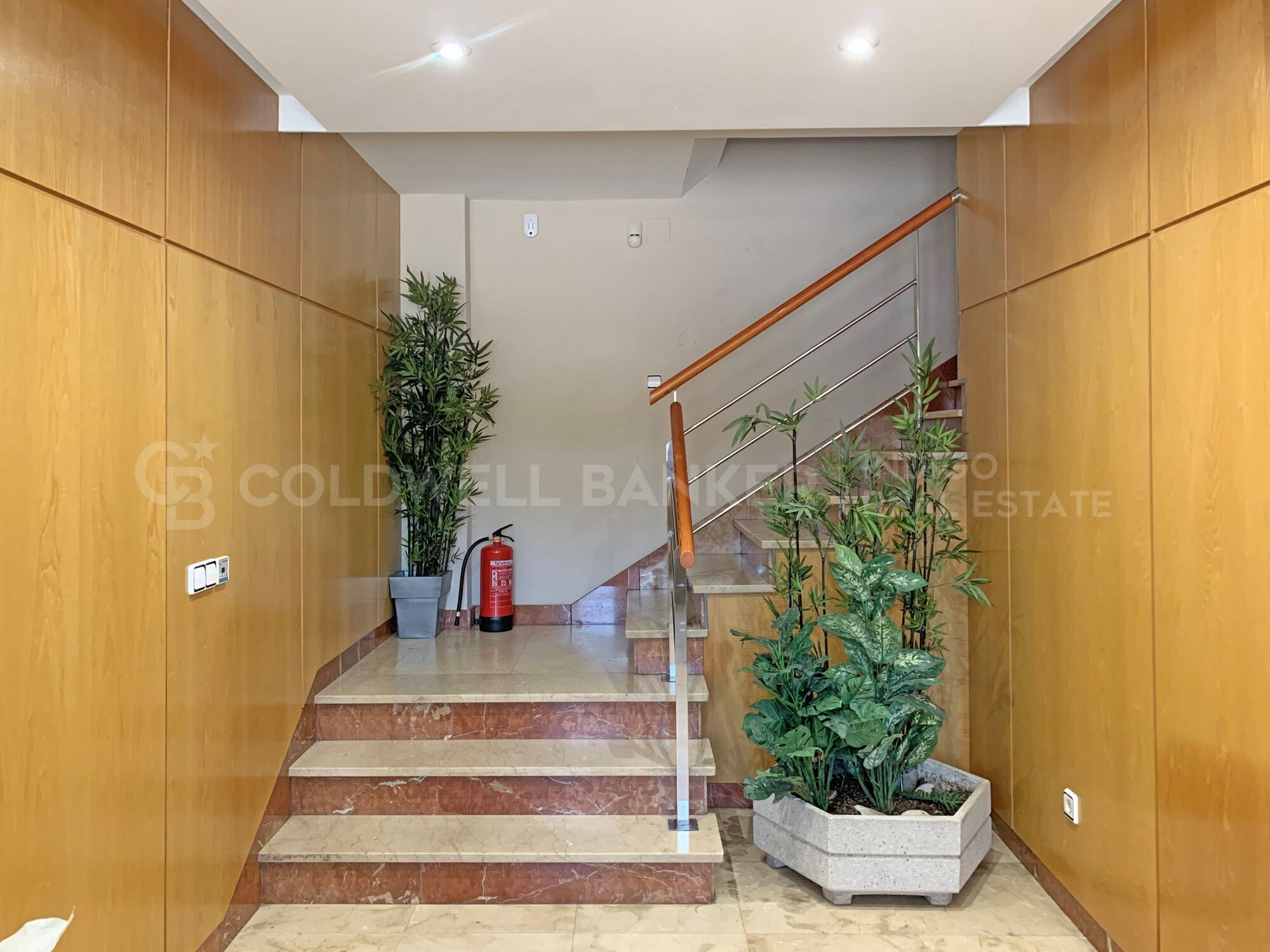 Nave industrial + oficinas, parcela de 15.000 m2 - Única en Vigo