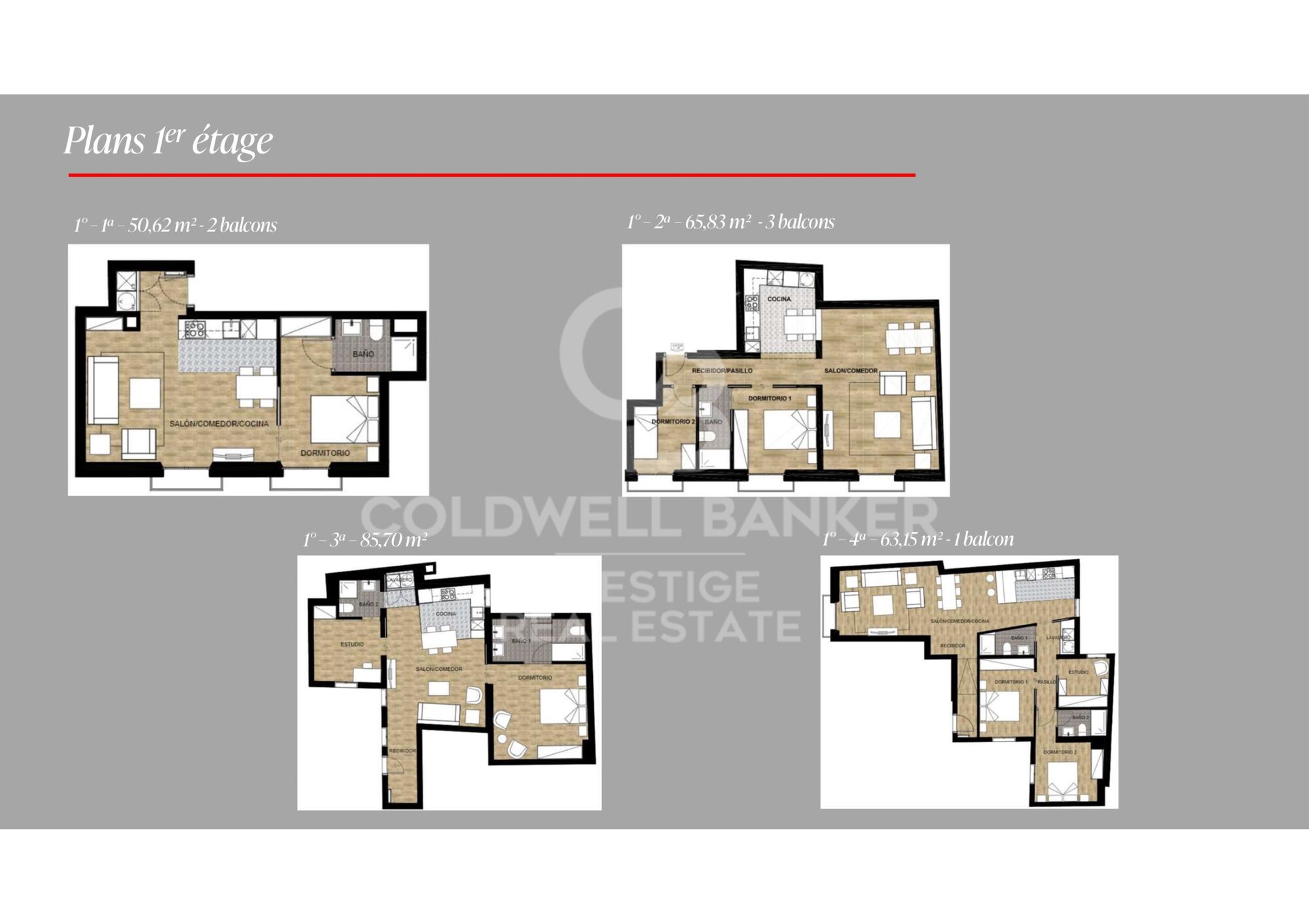 Renovated historic building for sale