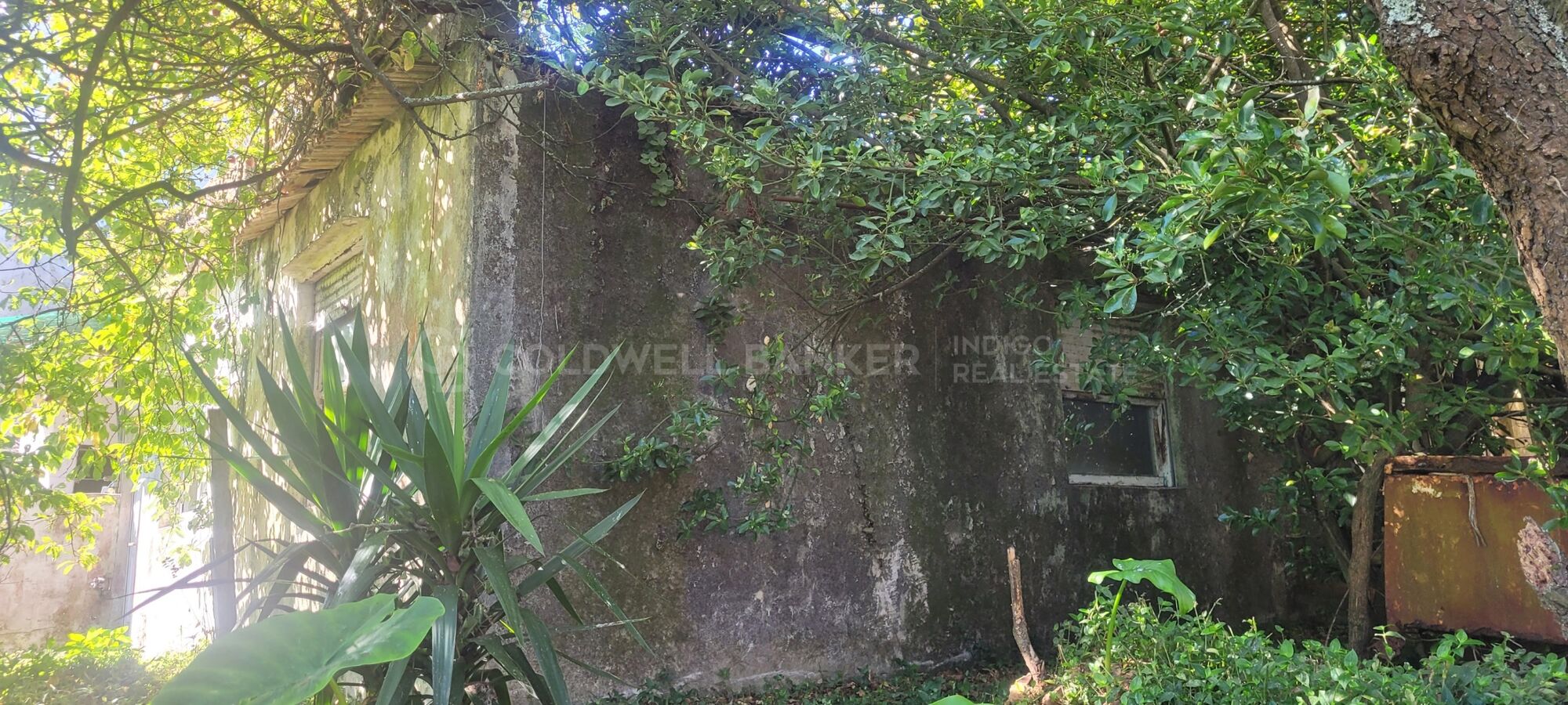 Building Plot Sale Vigo