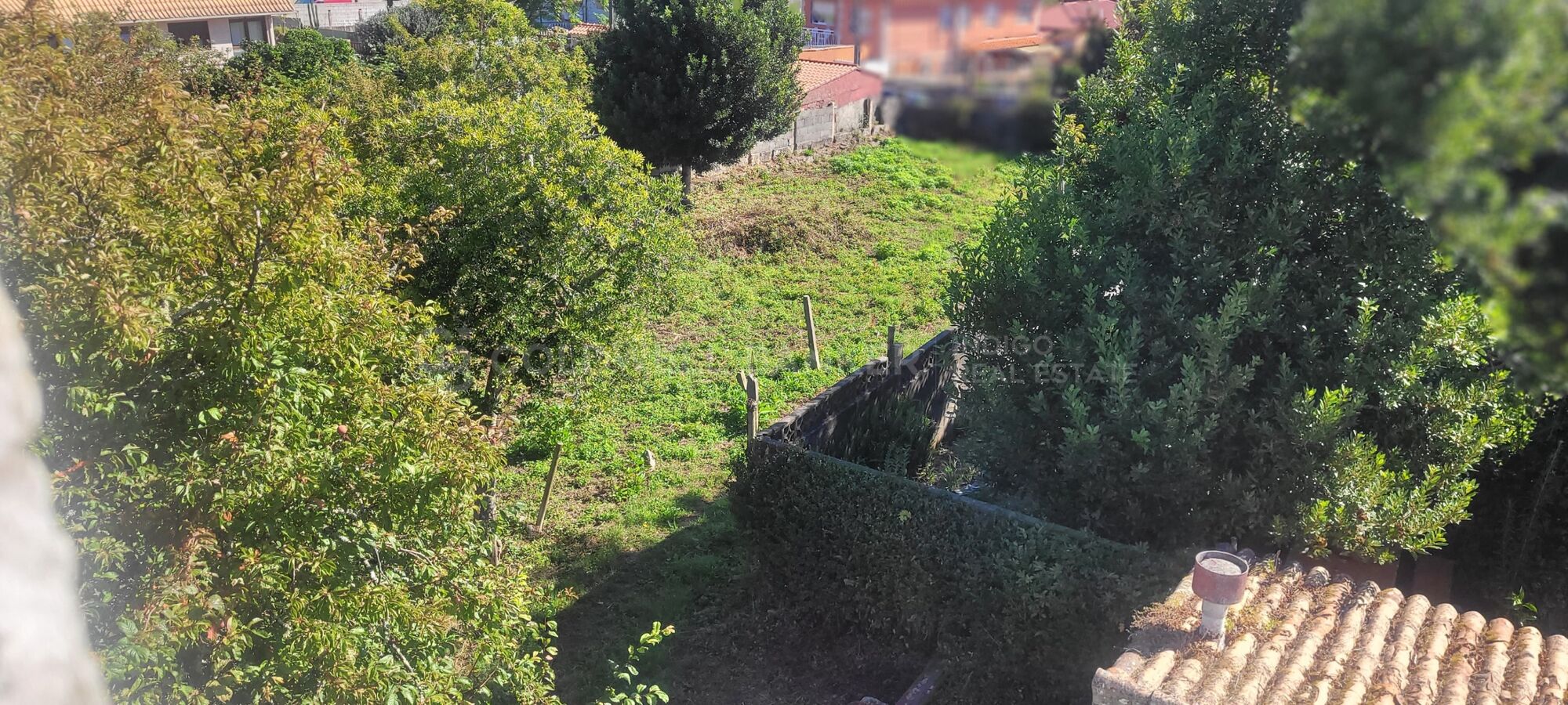 Building Plot Sale Vigo