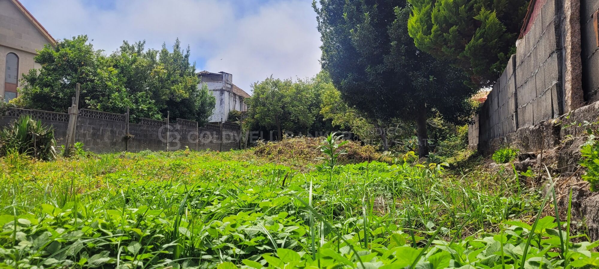 Building Plot Sale Vigo
