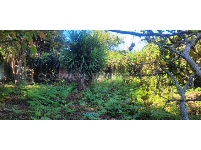 Terrain pour Immeuble Acheter Vigo