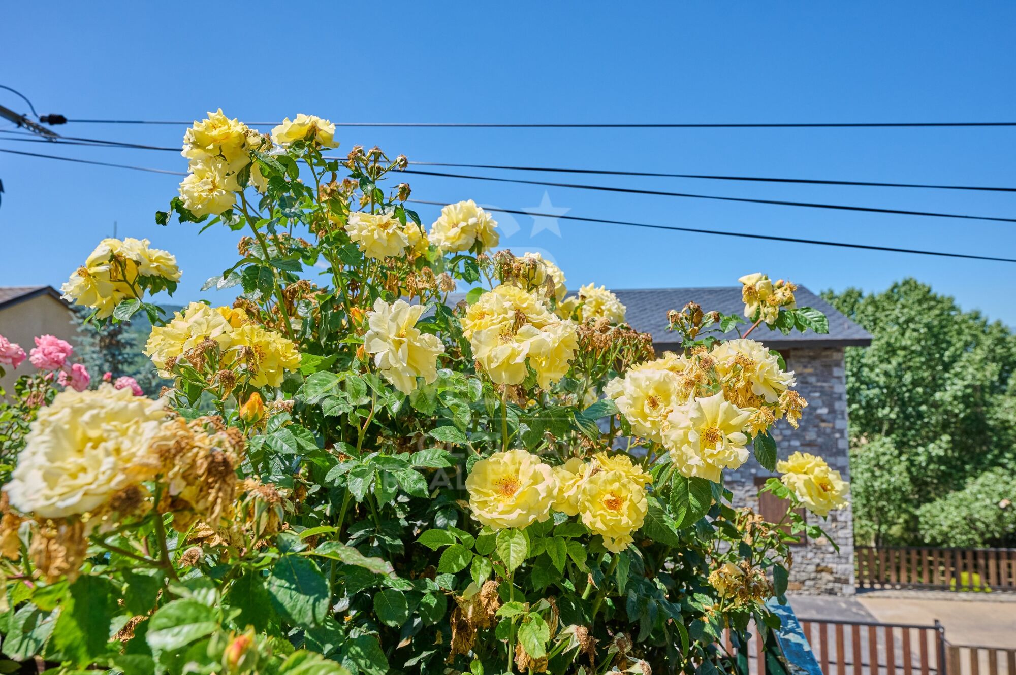 Maison 4 Pièces Acheter Osséja