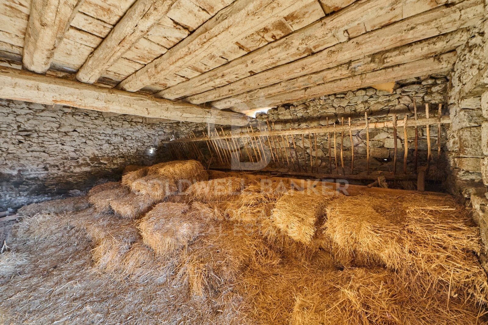 Finca rústica con posibilidades