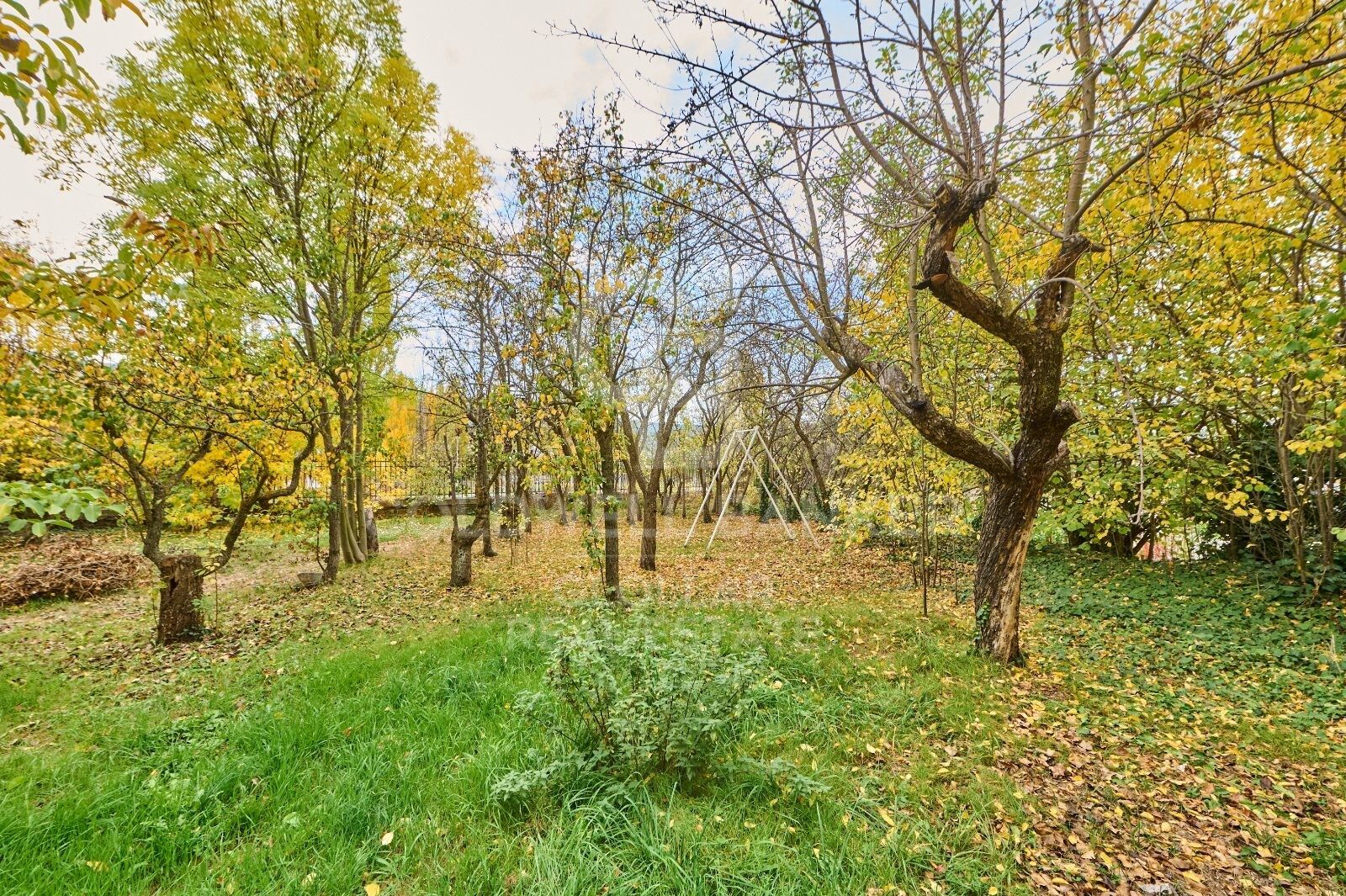 Village Sale Osséja
