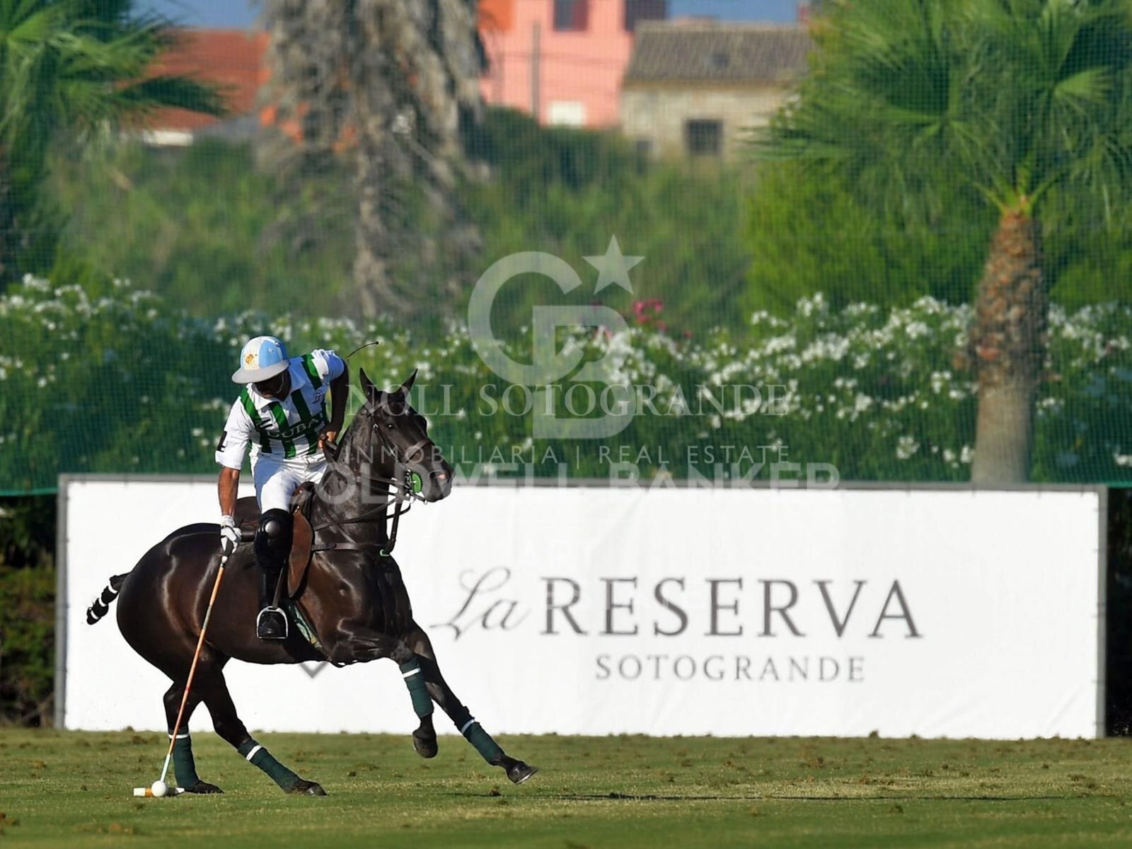 Unique plots in La Reserva de Sotogrande