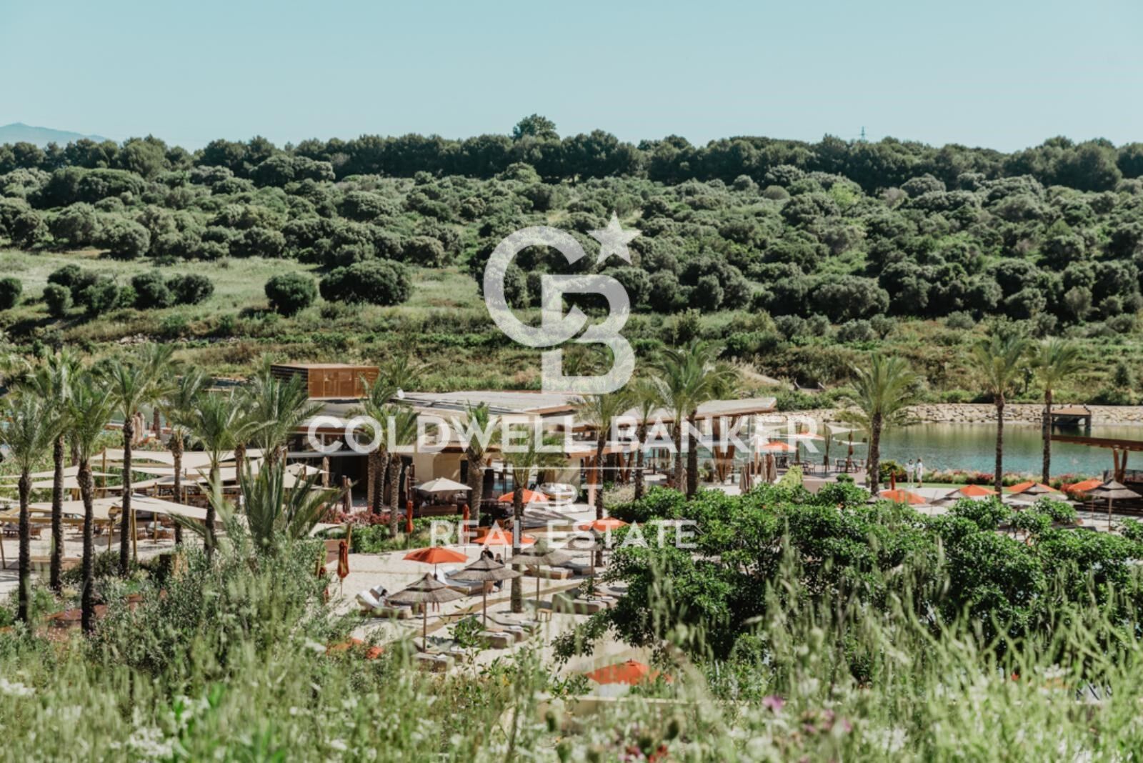 Incredible plots to build luxury villas in La Reserva de Sotogrande