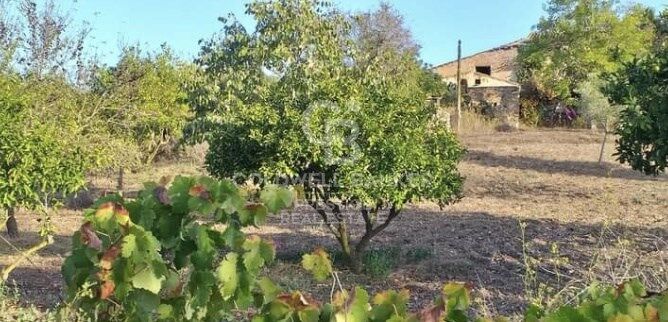 Rustic finca in Artà.