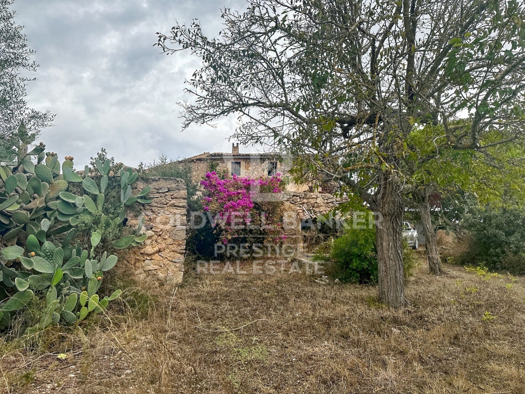 Rustic finca in Artà.