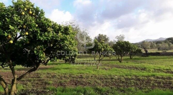 Rustic finca in Artà.