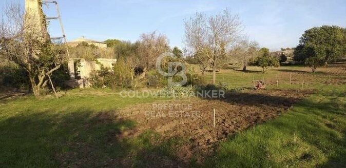 Rustic finca in Artà.