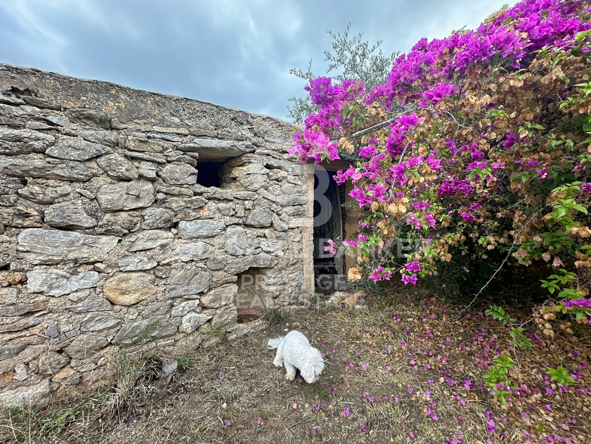 Rustic finca in Artà.