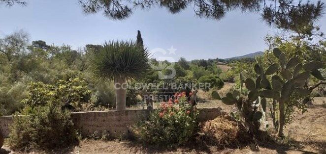 Rustic finca in Artà.