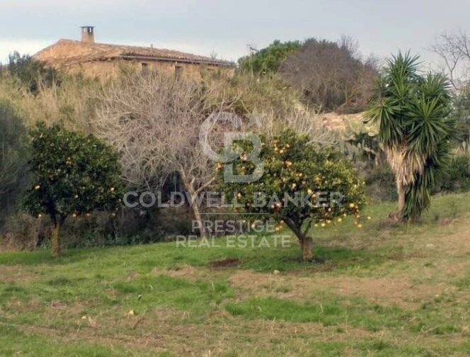 Finca rustique à Artà.