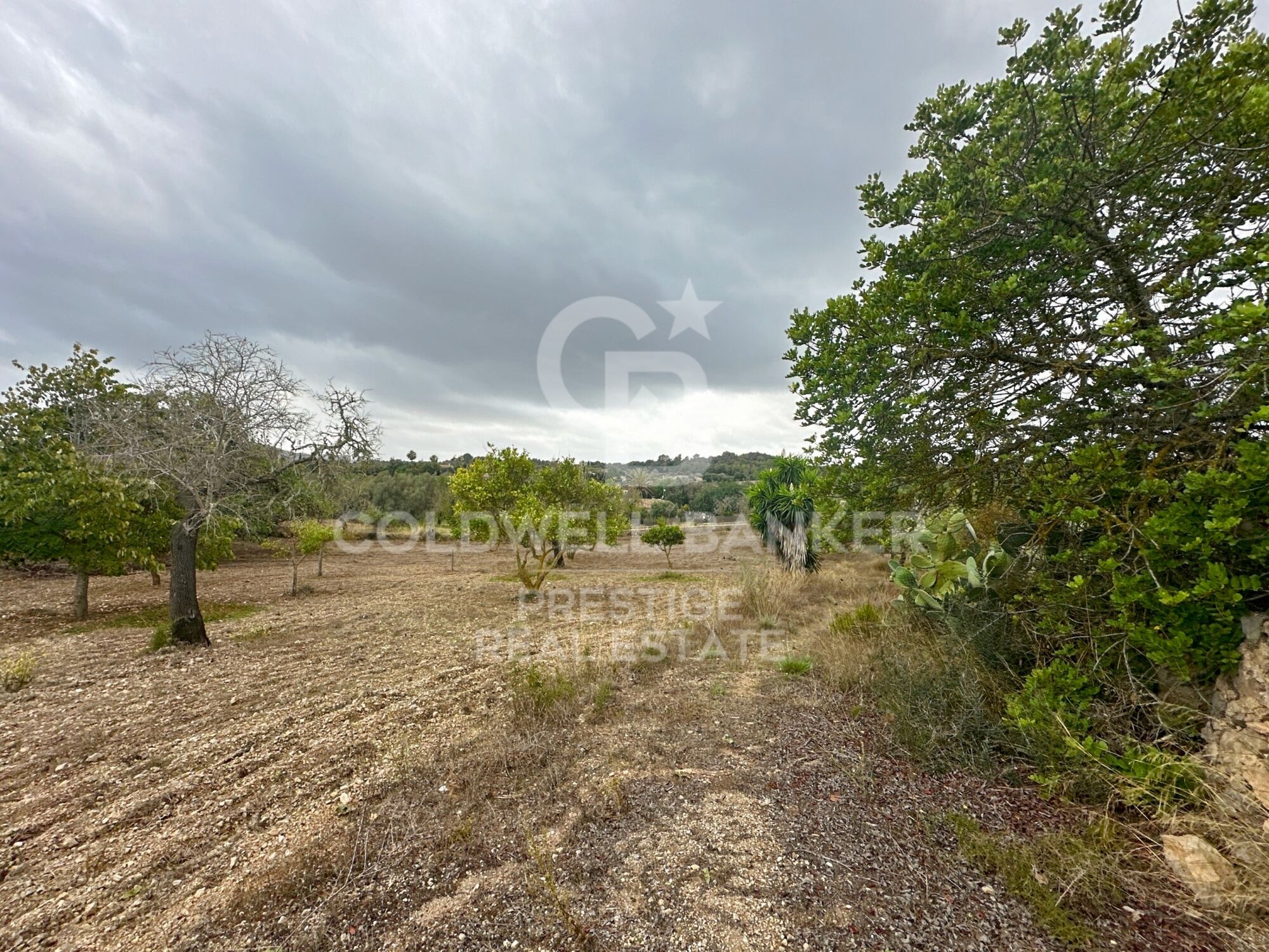 Finca rustique à Artà.