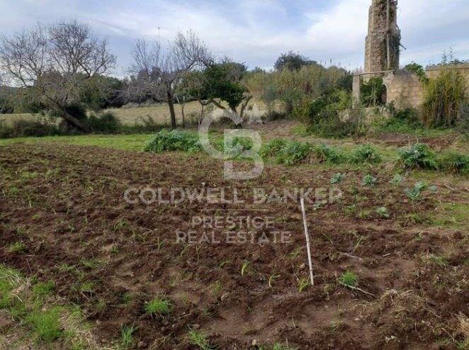 Rustic finca in Artà.