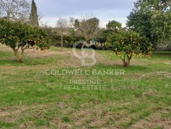 Finca rústica en Artá