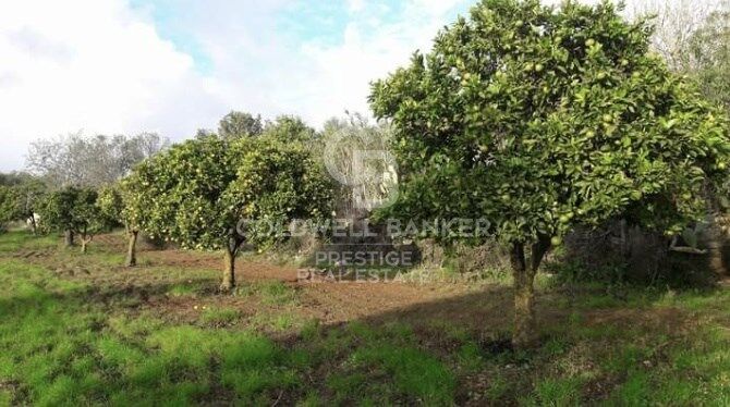 Finca rústica en Artá