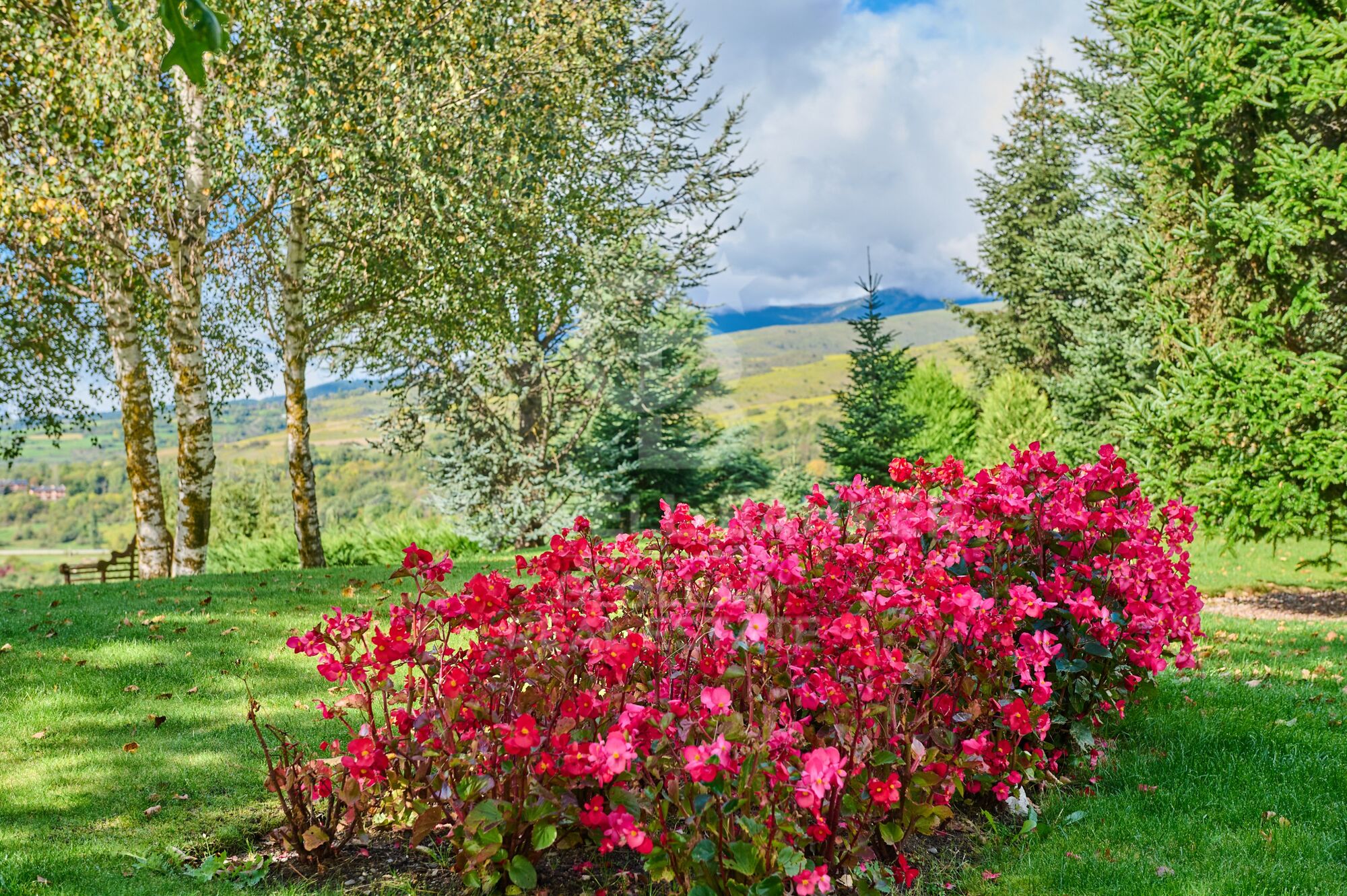 House 5 Bedrooms Triplex Sale Bolvir