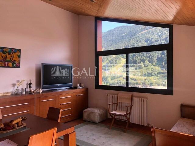Apartment 1 Bedroom Sale Canillo