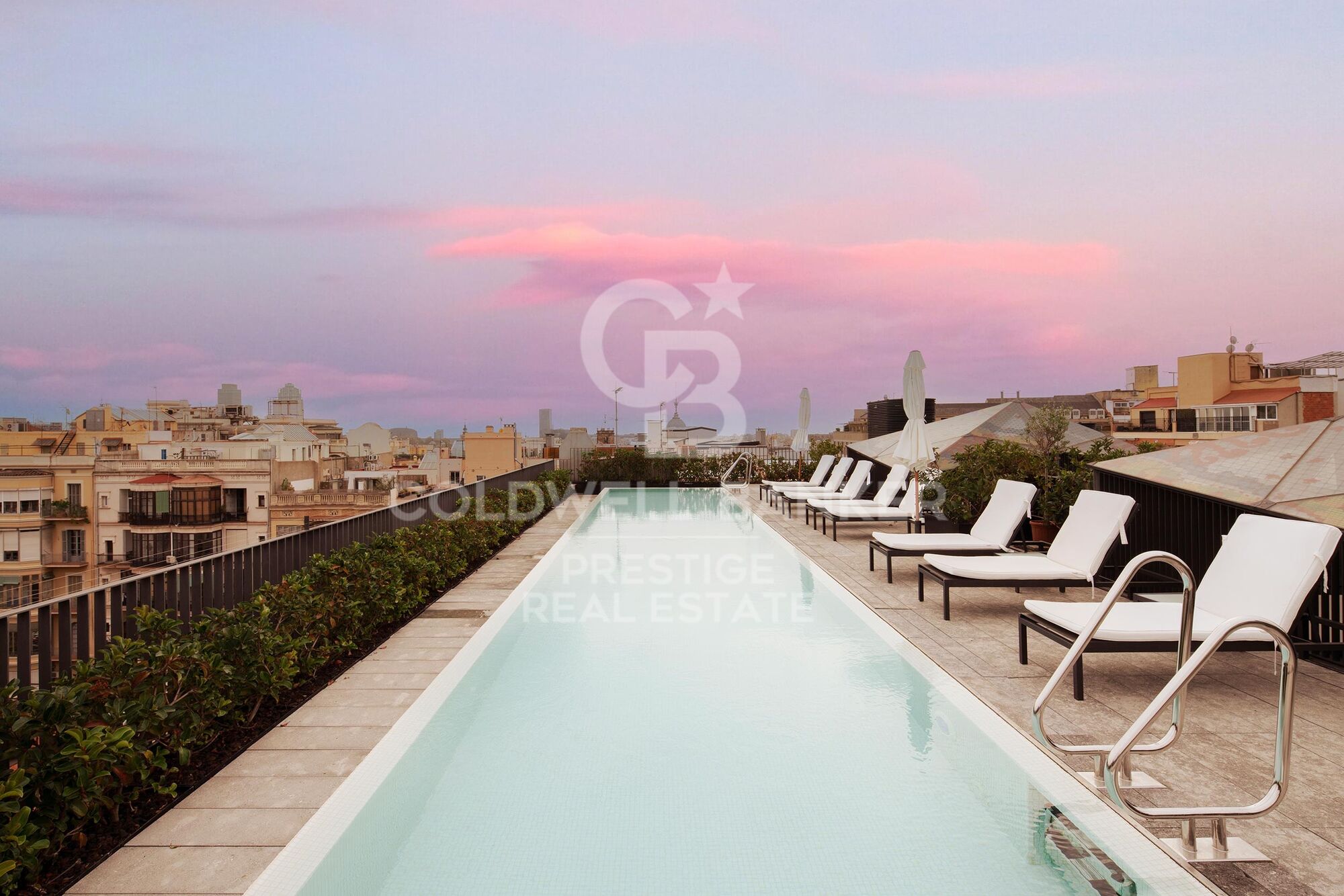 Penthouse with terrace in Modernist building