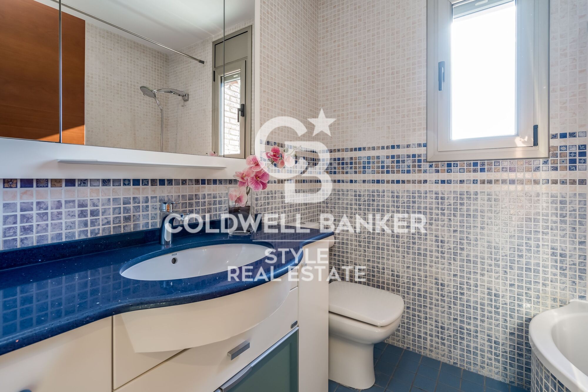 Exceptional with swimming pool