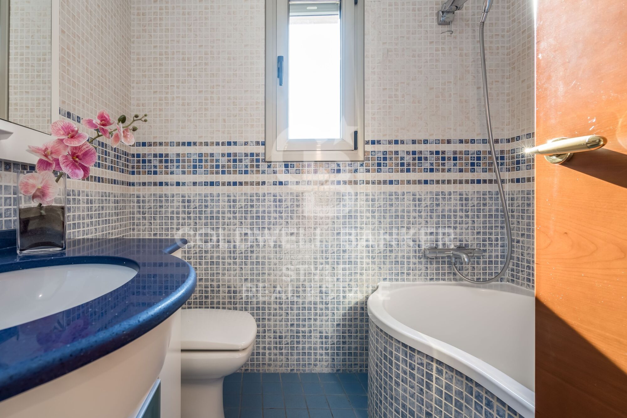 Exceptional with swimming pool