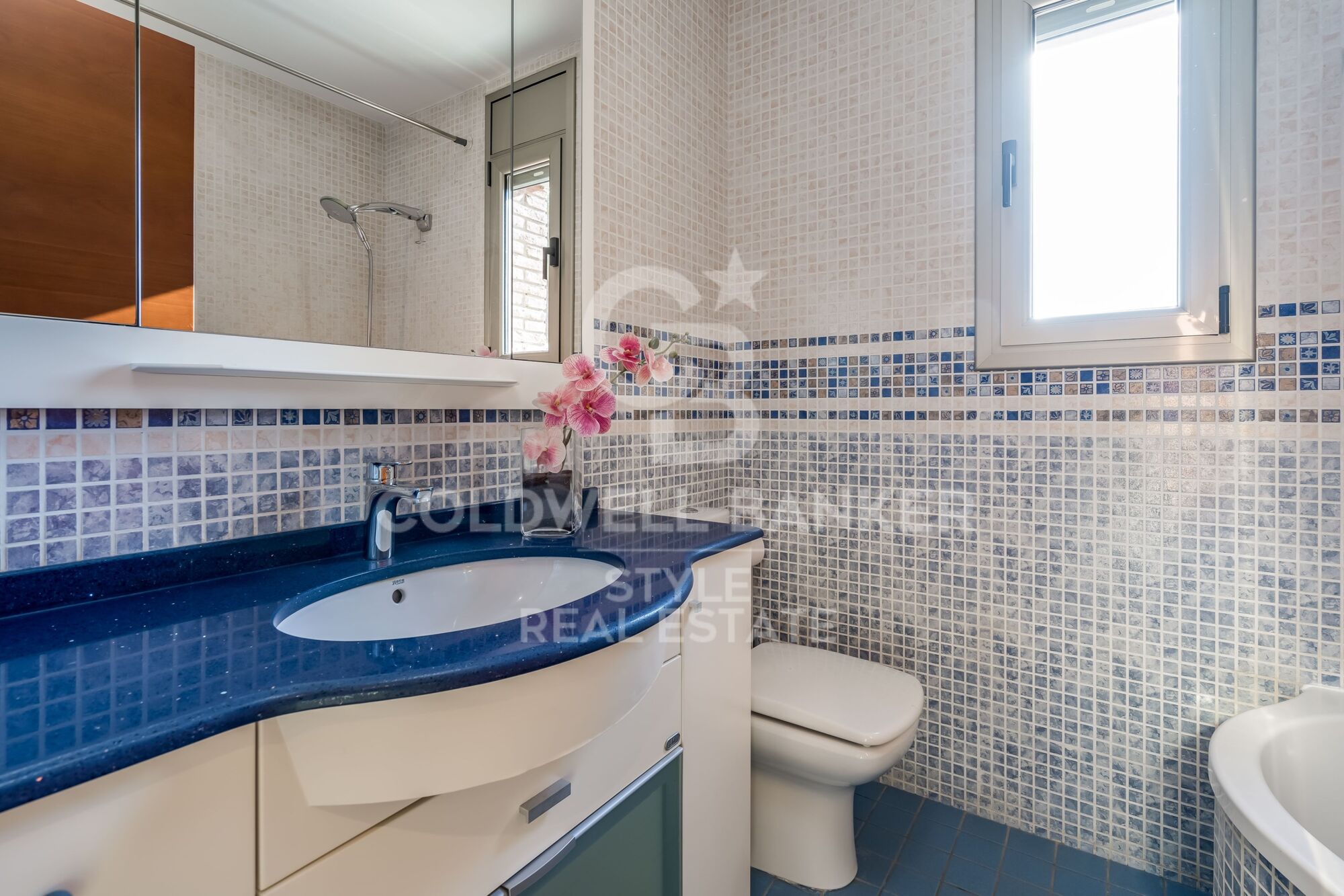 Exceptional with swimming pool