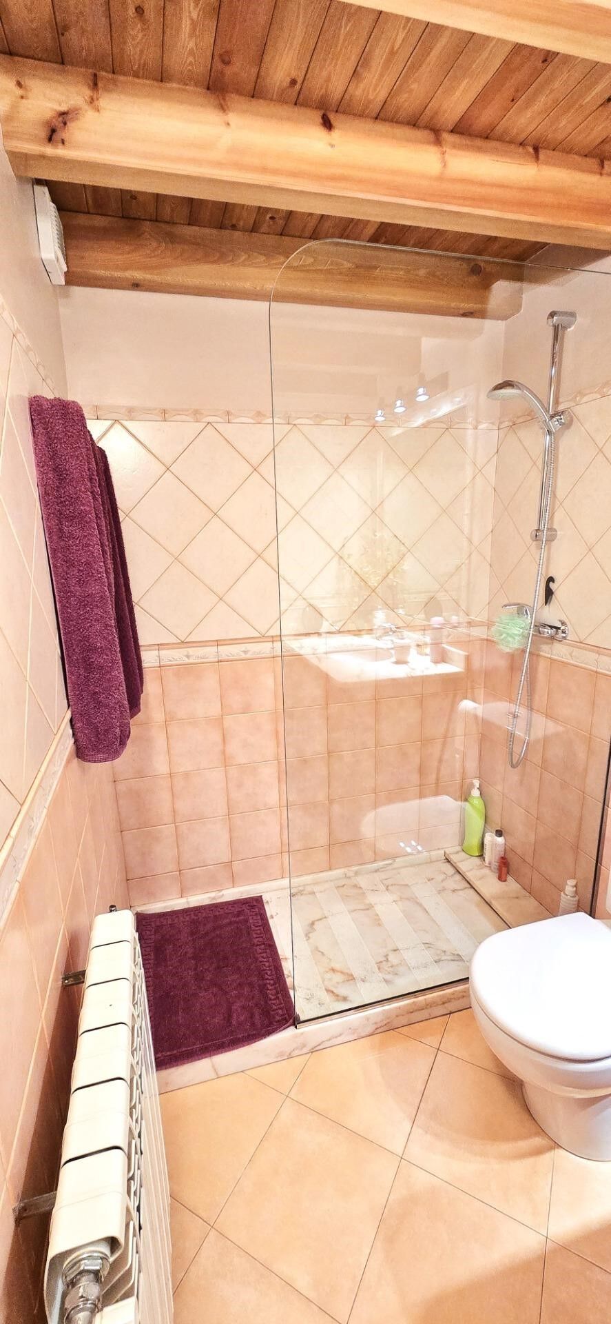 Penthouse 4 Schlafzimmer Verkauf Canillo