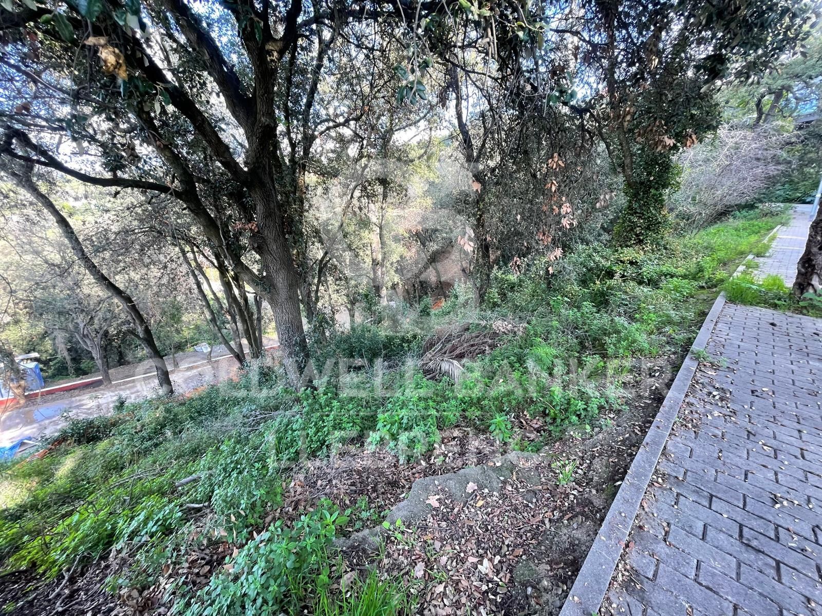 600 m² building plot for sale in Vallvidrera with project and construction license.