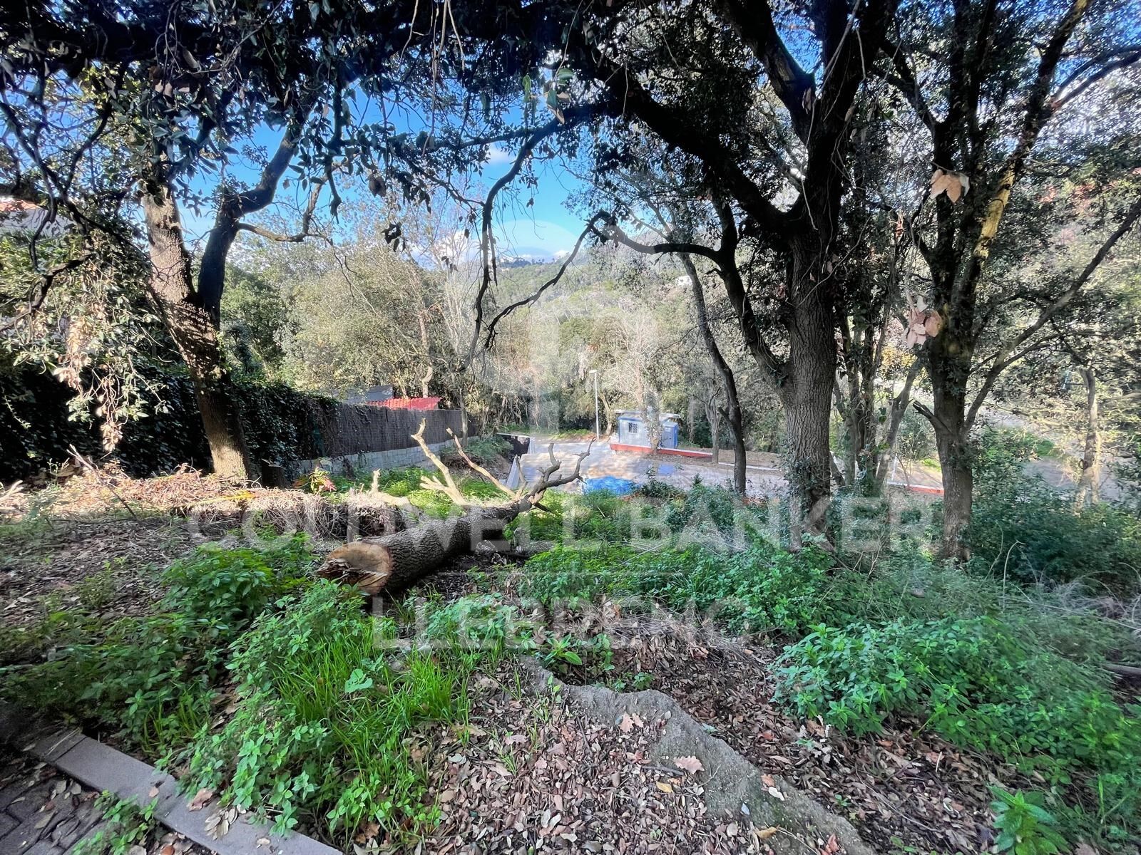 600 m² building plot for sale in Vallvidrera with project and construction license.