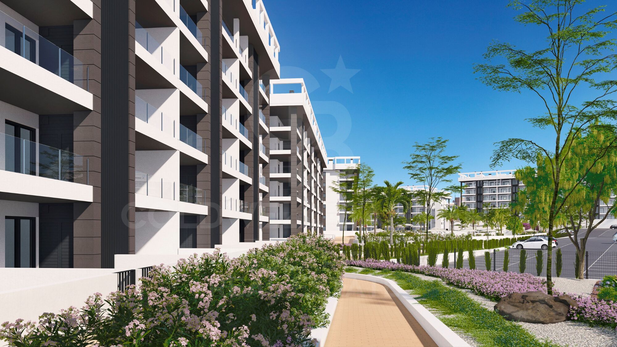 Elegant Apartments Near the Beach - Torrevieja