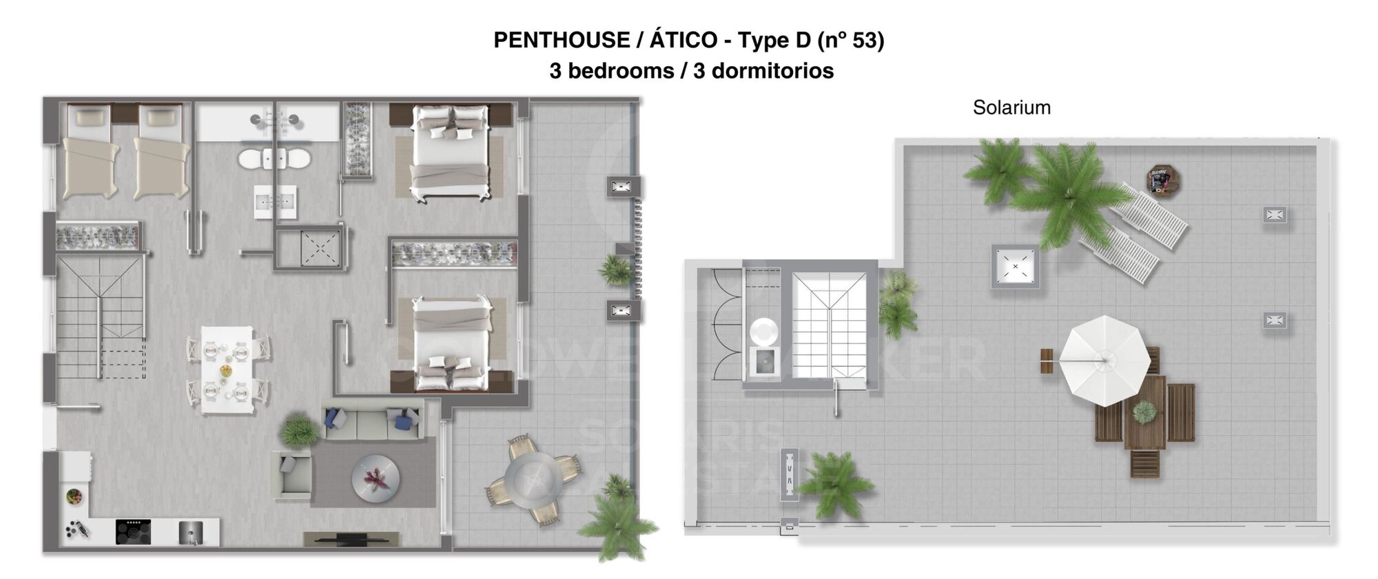 Elegantes apartamentos cerca de la playa - Torrevieja