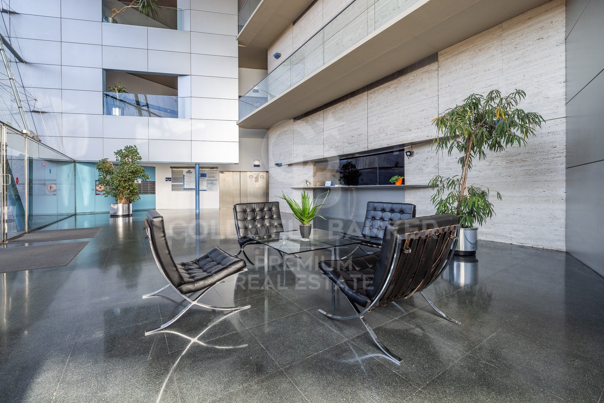 Office on the exclusive Avenida Torreblanca: Elegance, functionality and comfort