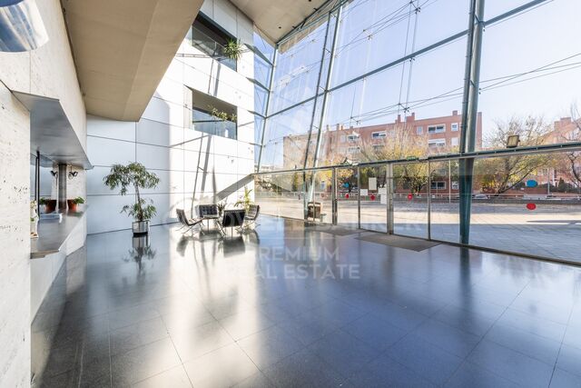 Office on the exclusive Avenida Torreblanca: Elegance, functionality and comfort