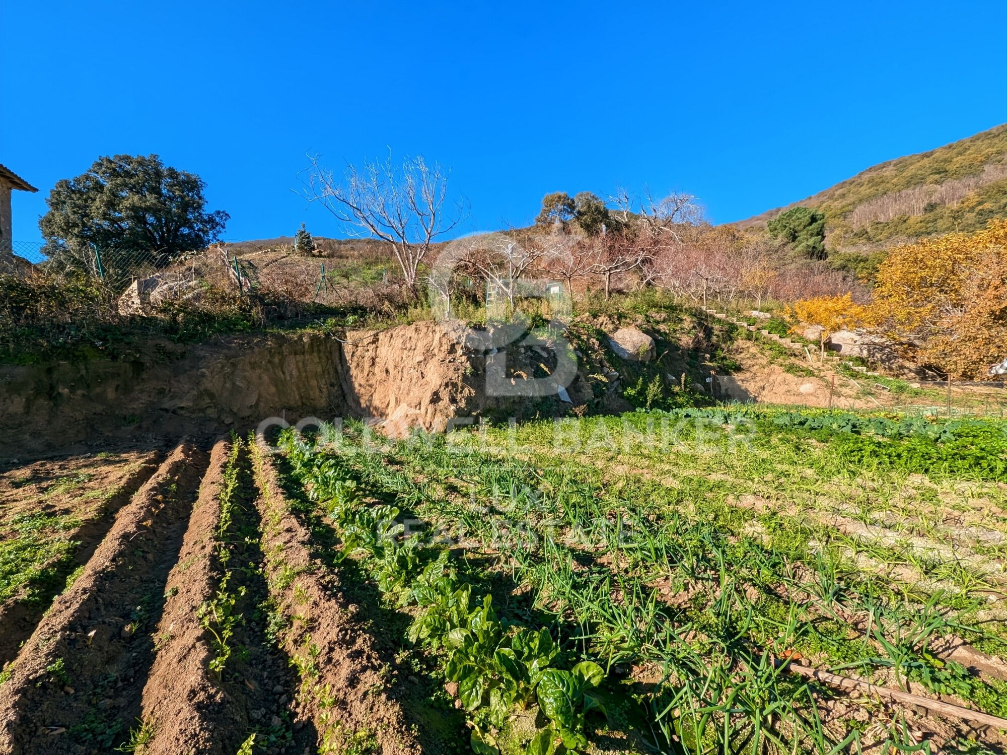 Maison de campagne à vendre à Agullana, Alt Empordà