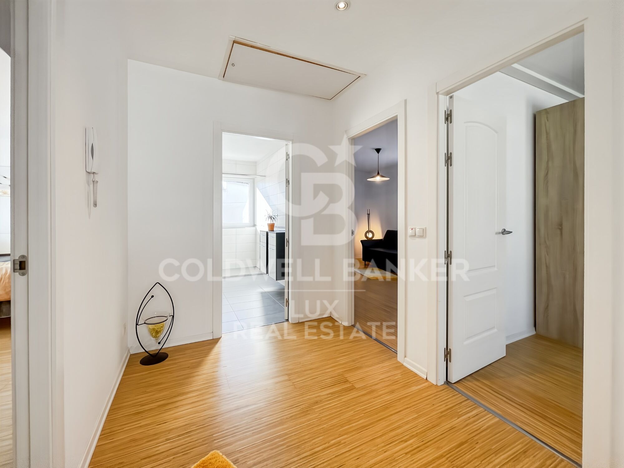 Luxury Villa with Pool and Garden 5 Minutes from the Beach in Empuriabrava