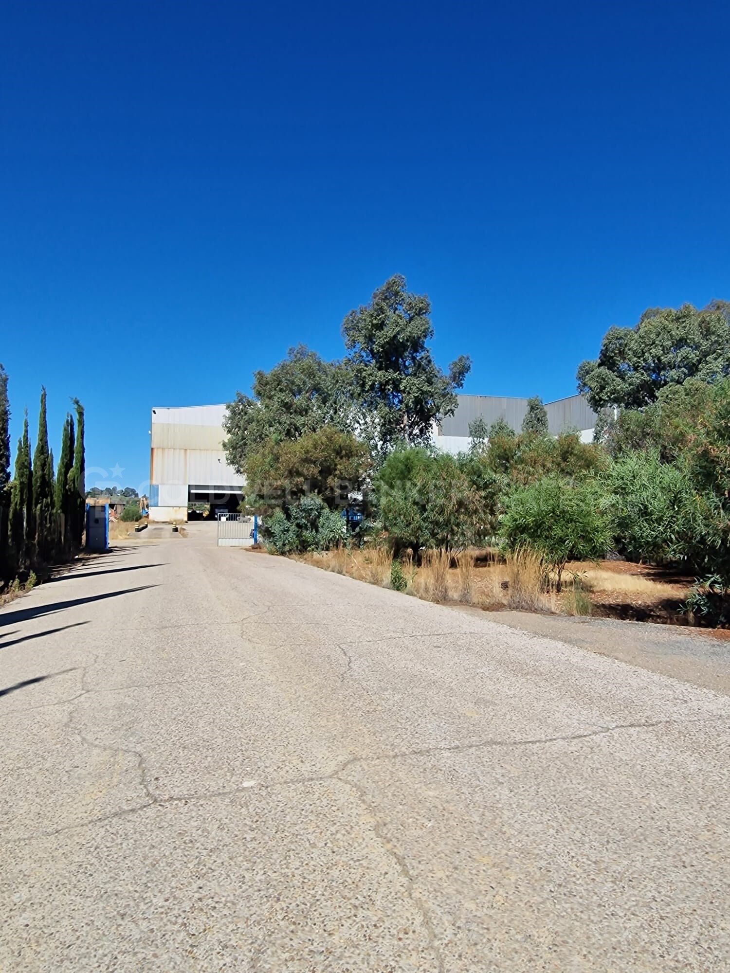 Nave industrial con parcela de 9 hectáreas y estratégica ubicación