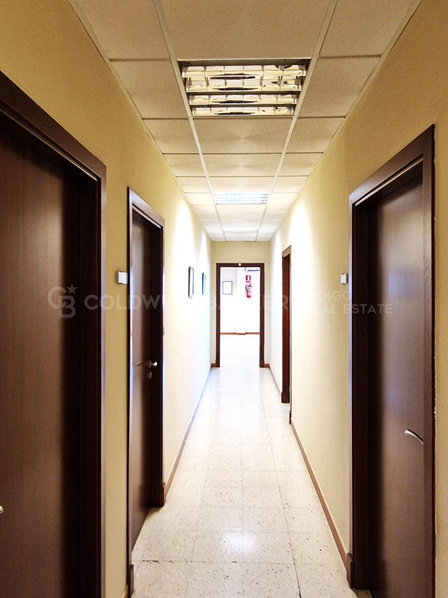 Nave industrial con parcela de 9 hectáreas y estratégica ubicación