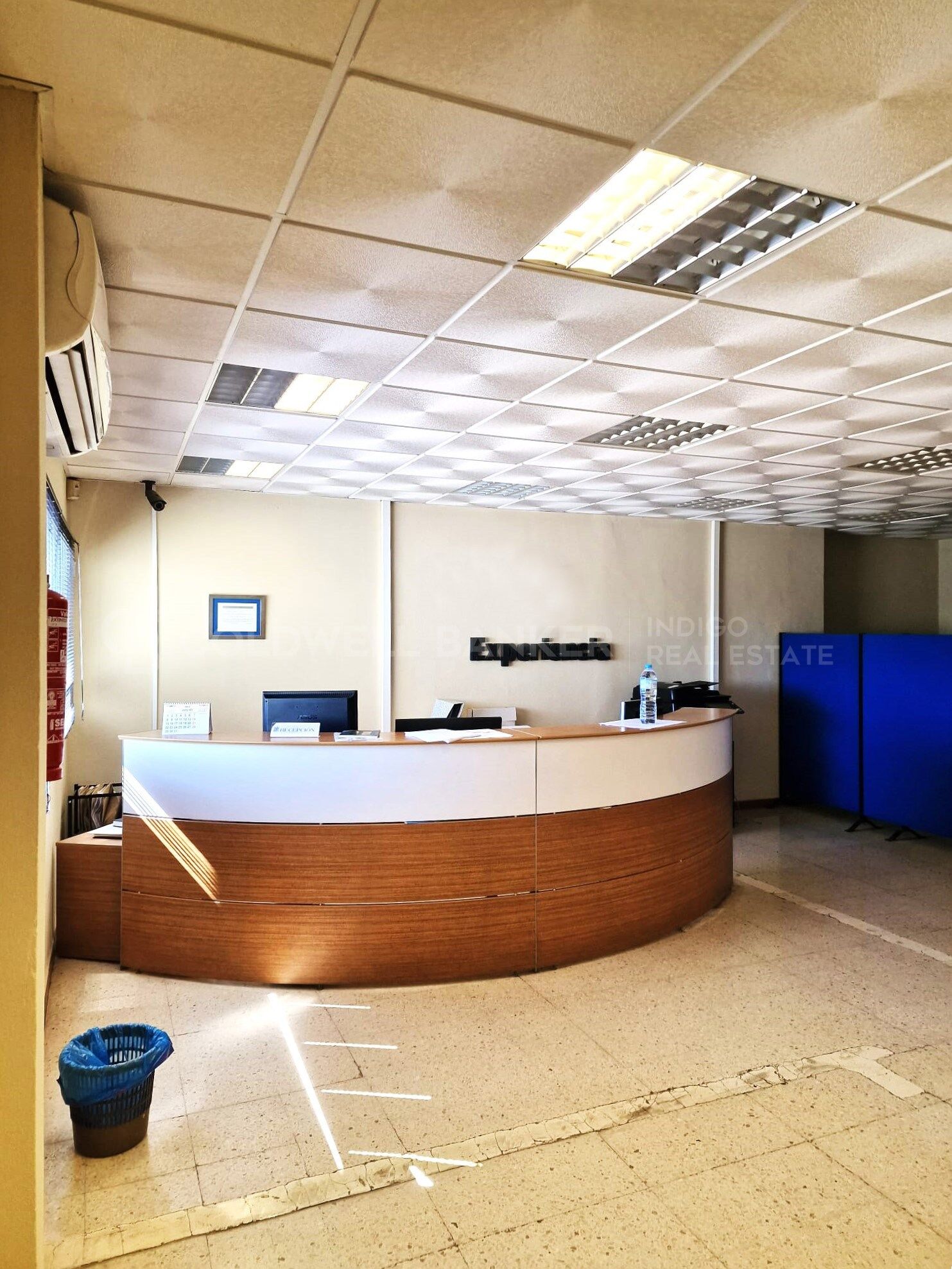 GRAN COMPLEJO INDUSTRIAL EN AZNALCÓLLAR COMPLETAMENTE EQUIPADO PARA INDUSTRIA PESADA Y LOGÍSTICA