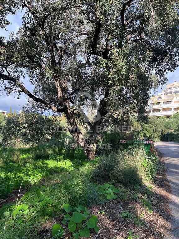 Residential land in the area of Elviria - Marbella
