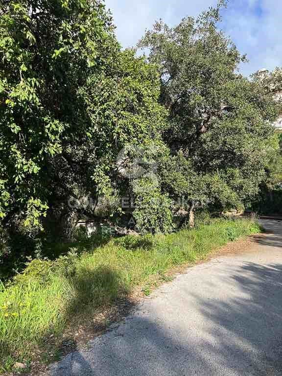 Residential land in Marbella