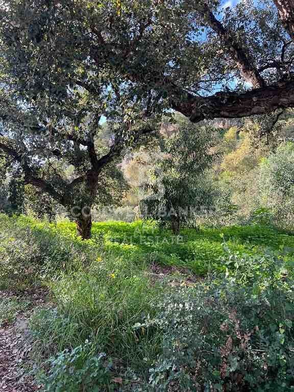 Suelo residencial en Marbella