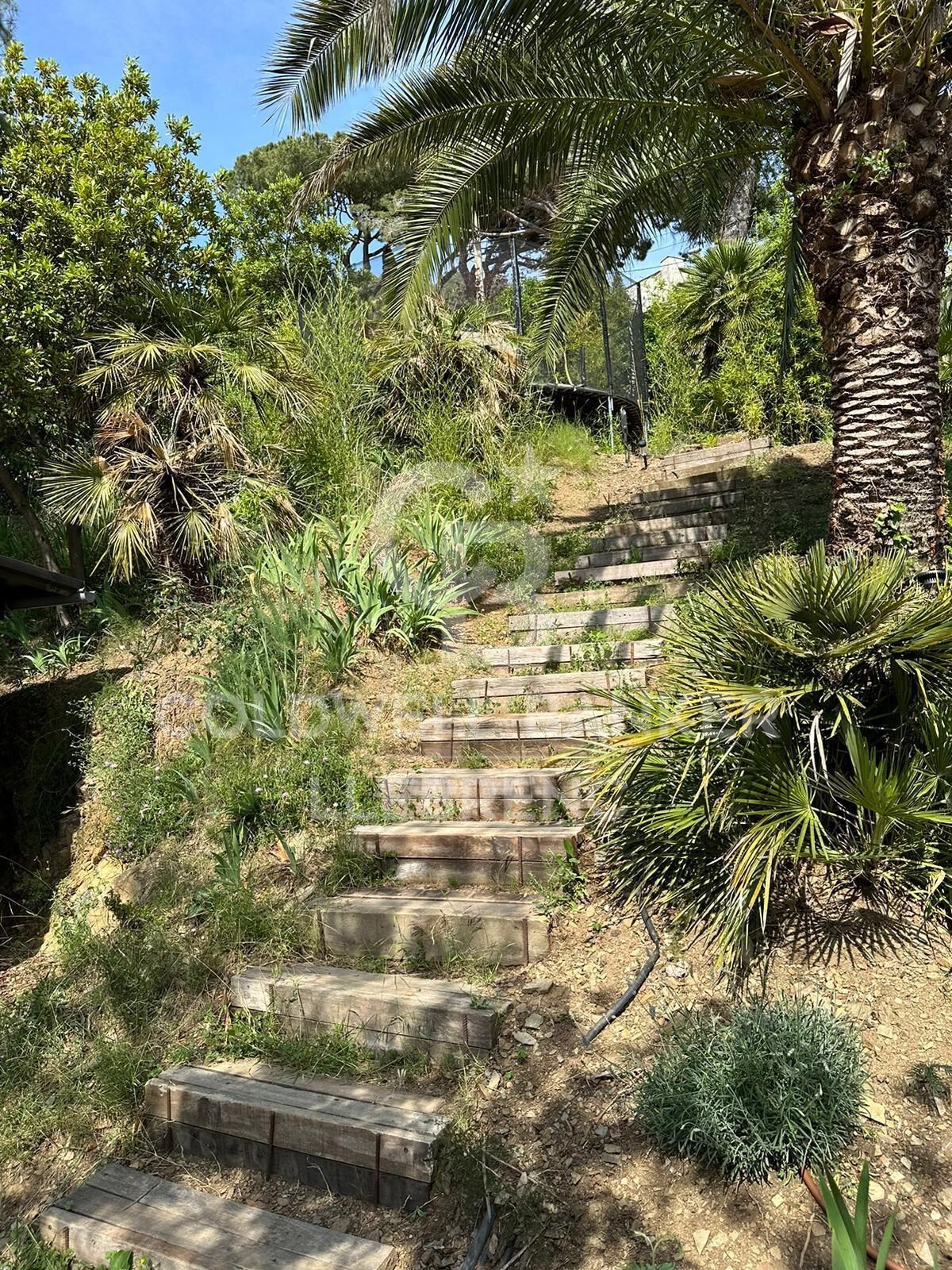 Terrain unique de 1 000 m2 à vendre dans le quartier de Font del Mont