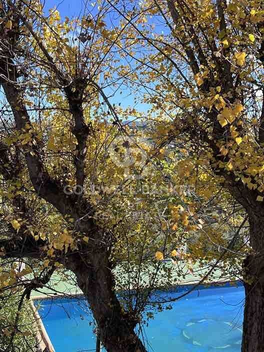 Rural house in Ronda