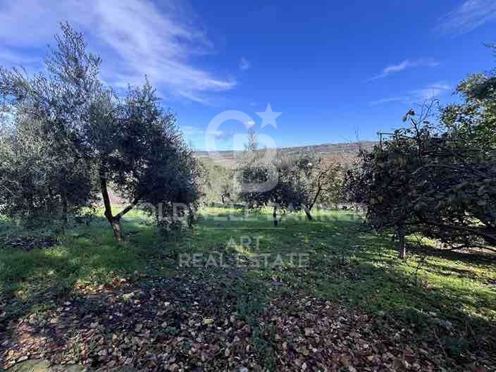 Maison rurale à Ronda