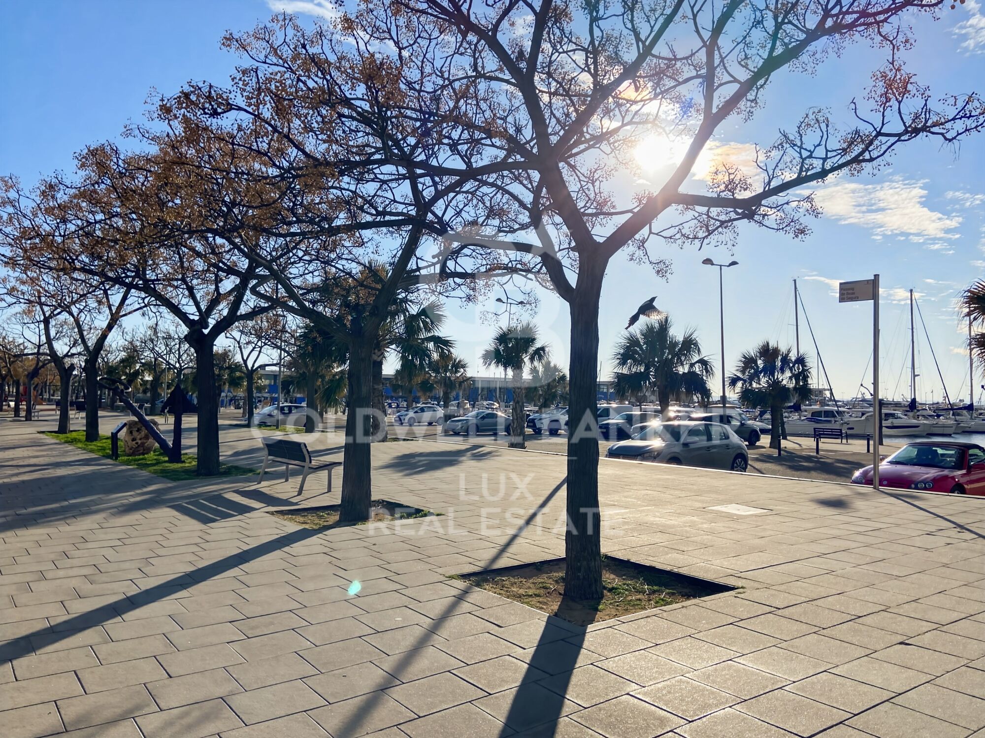 Large divisible luxury flat in Roses, 100m from the beach