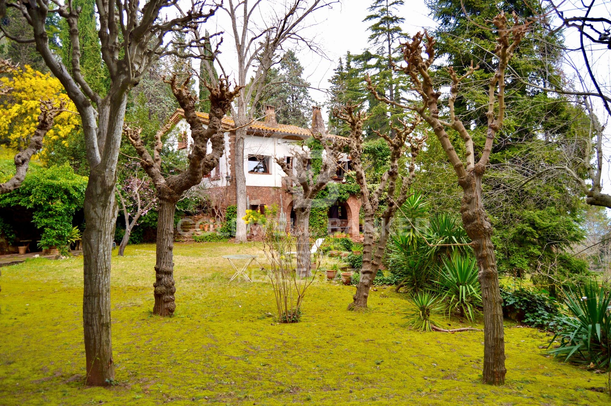 Charmante Immobilie, umgeben von Natur und Weinbergen in Castellví de Rosanes.